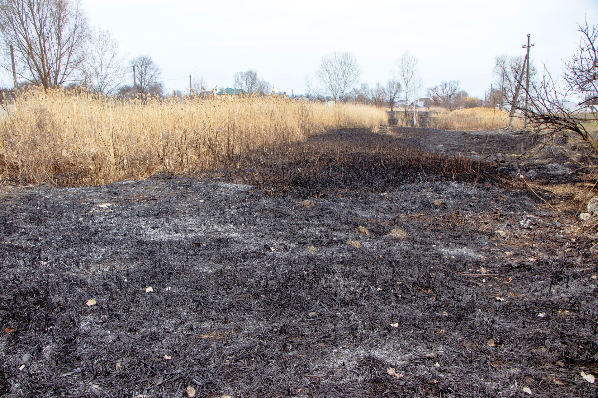 В Днепре снова начали сжигать траву - фото: dniprorada.gov.ua