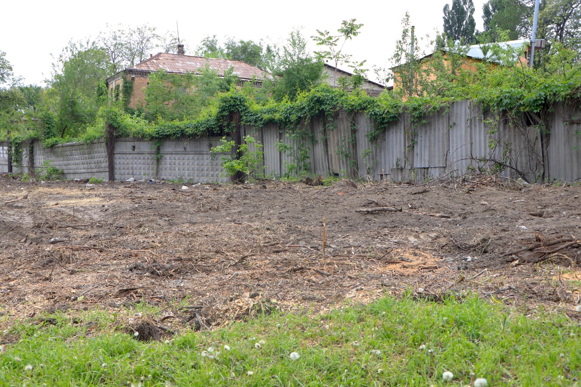 В Днепре спилили деревья - фото: dniprorada.gov.ua