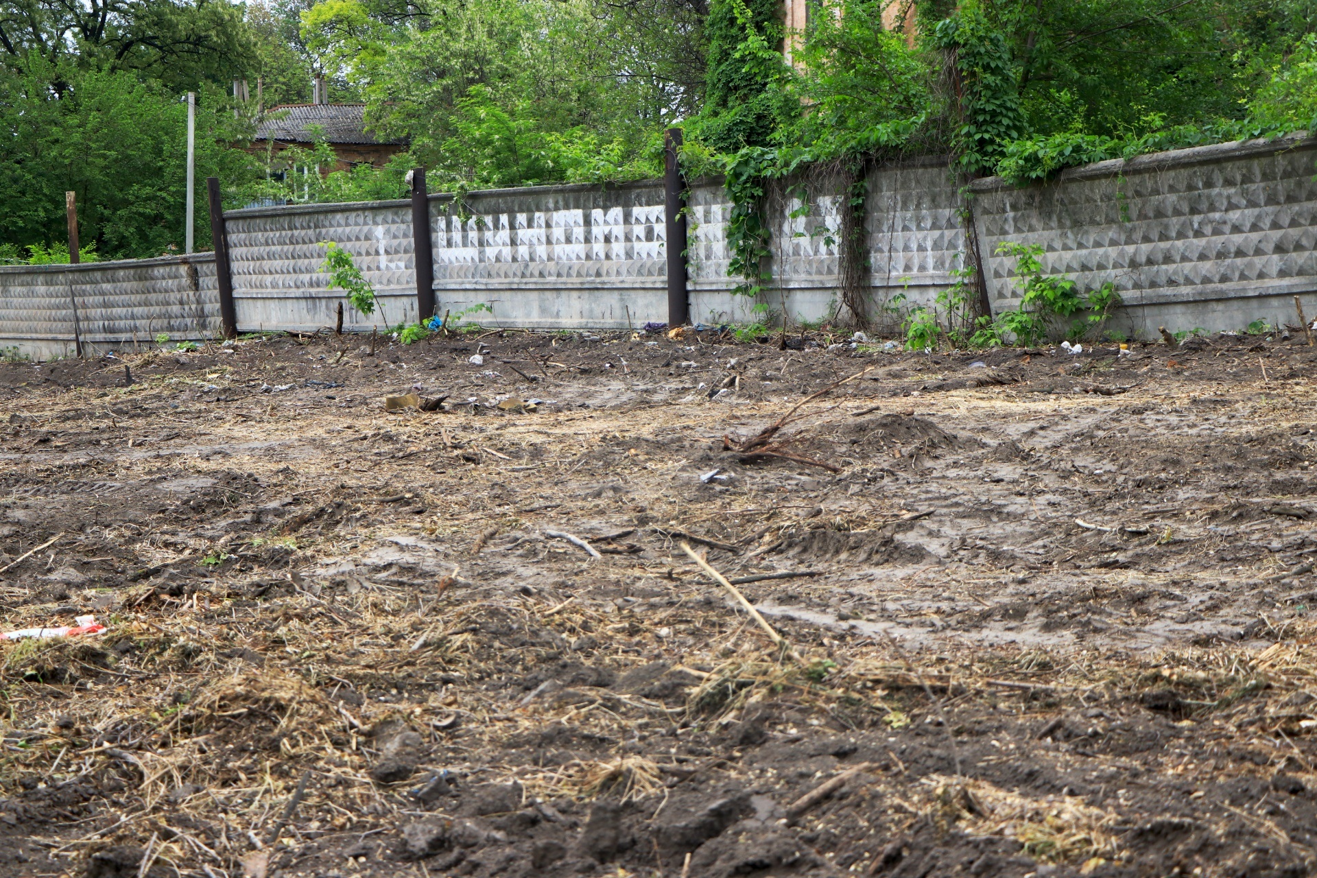 Деревья спилили и вывезли - фото: dniprorada.gov.ua