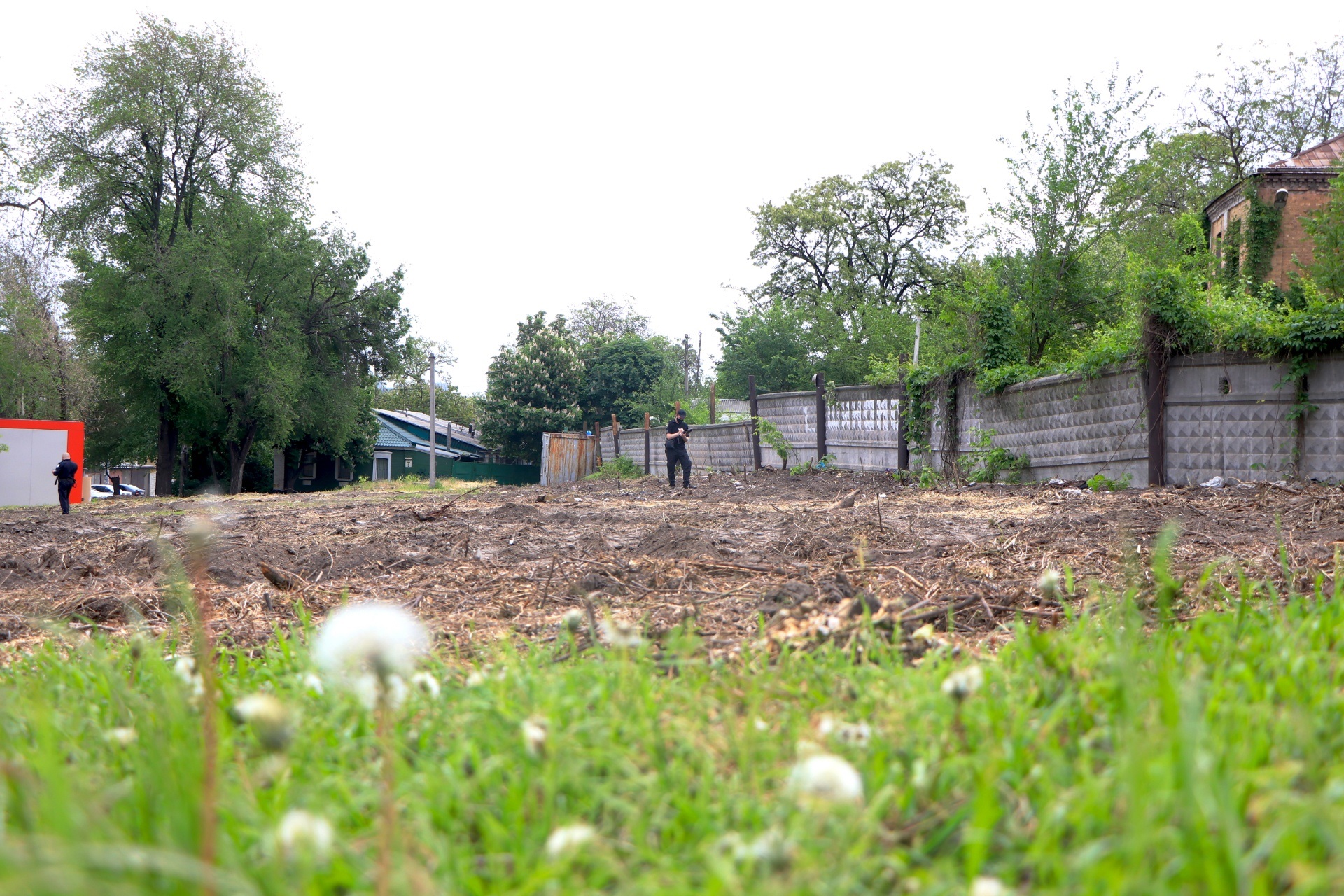 Деревья убрали незаконно - фото: dniprorada.gov.ua