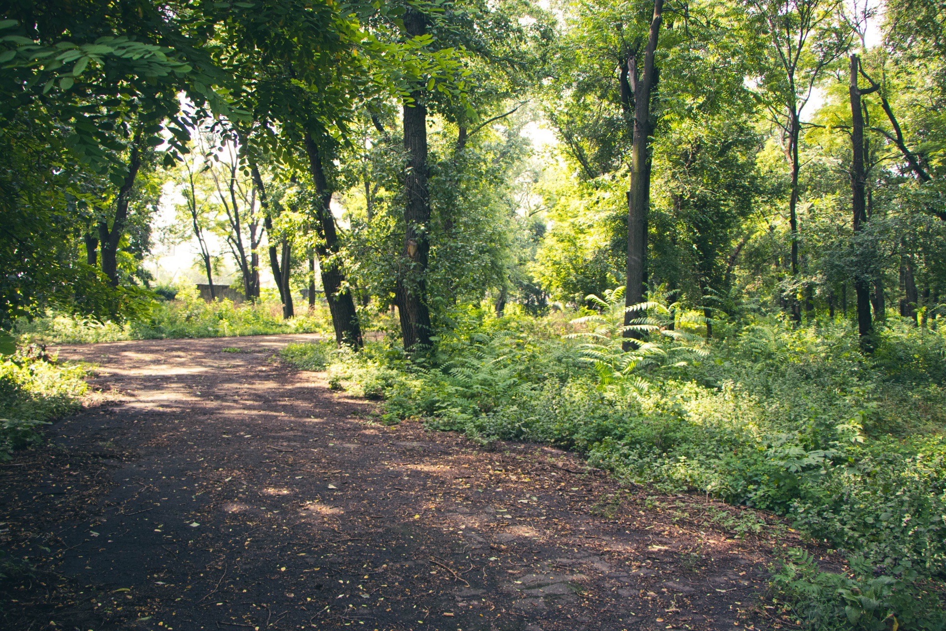 Здесь будет отличная зона отдыха - фото: dniprorada.gov.ua