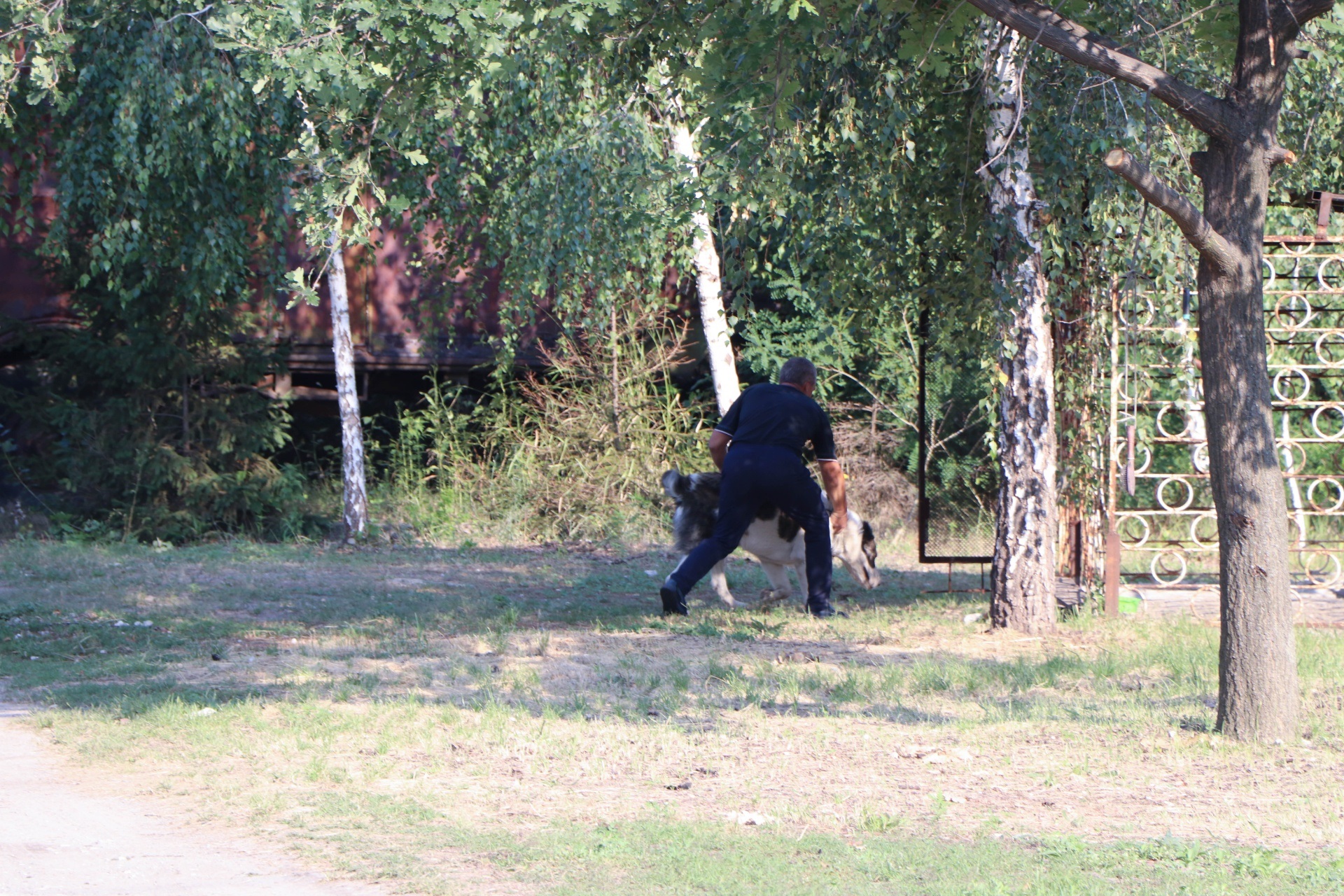 Людей пугают собакой - фото: dniprorada.gov.ua