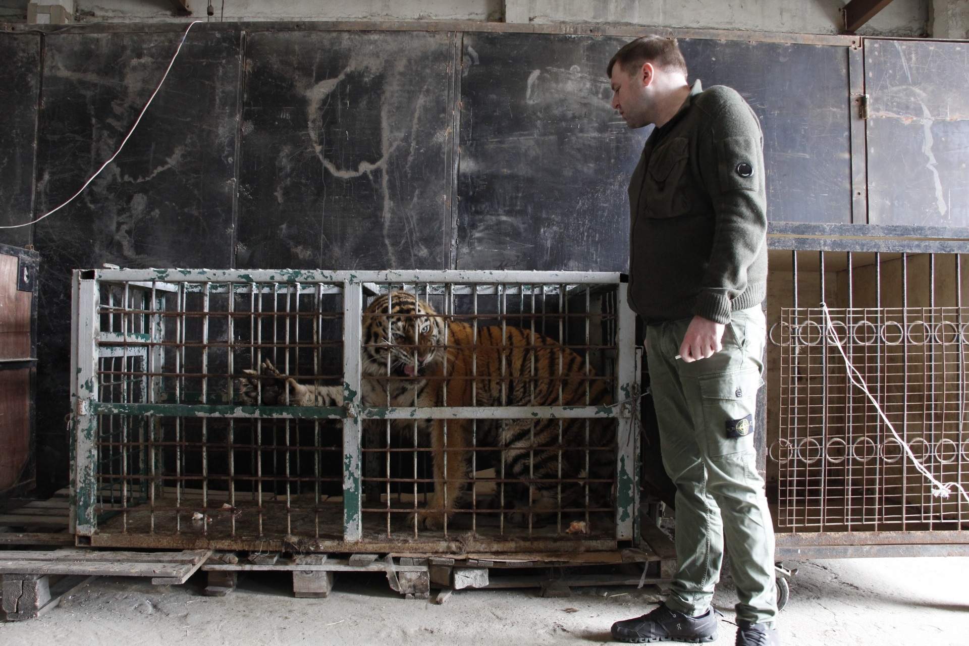 Днепр помогает эвакуировать животных из Харькова - || фото: dniprorada.gov.ua