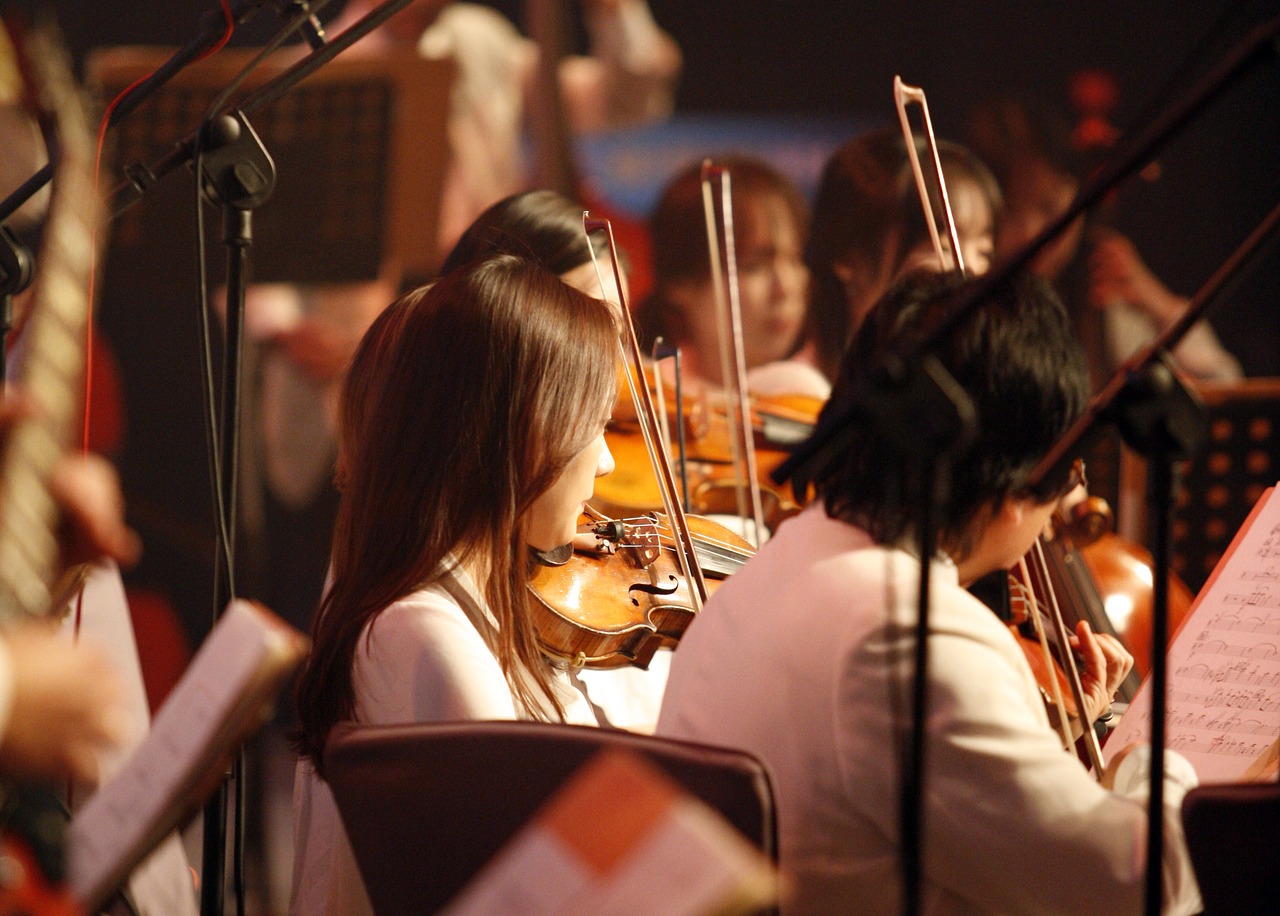 Днепрян приглашают на концерт оркестра Lords of the Sound- || фото: pixabay.com