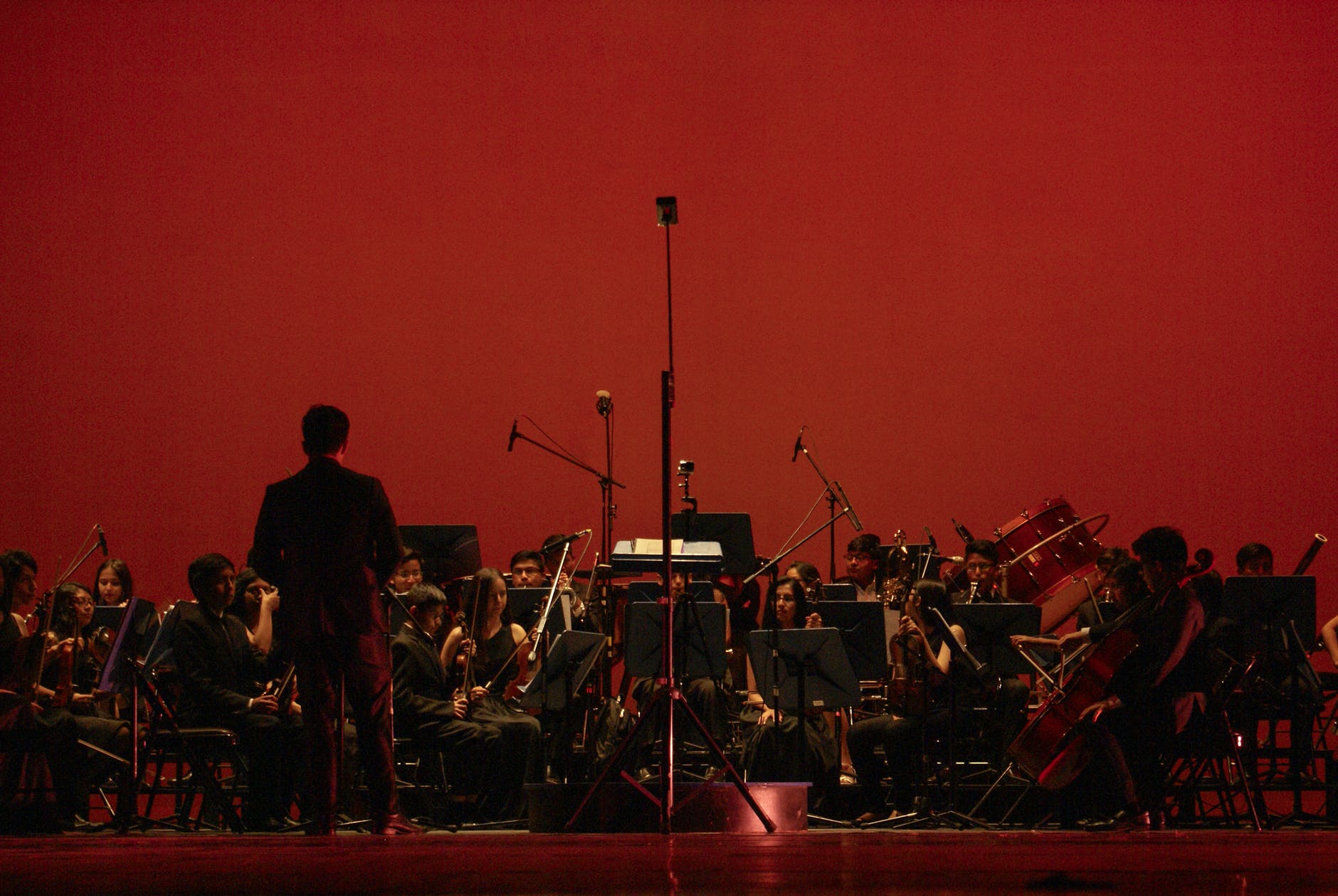 В областной филармонии состоится симфонический концерт - || фото: pexels.com