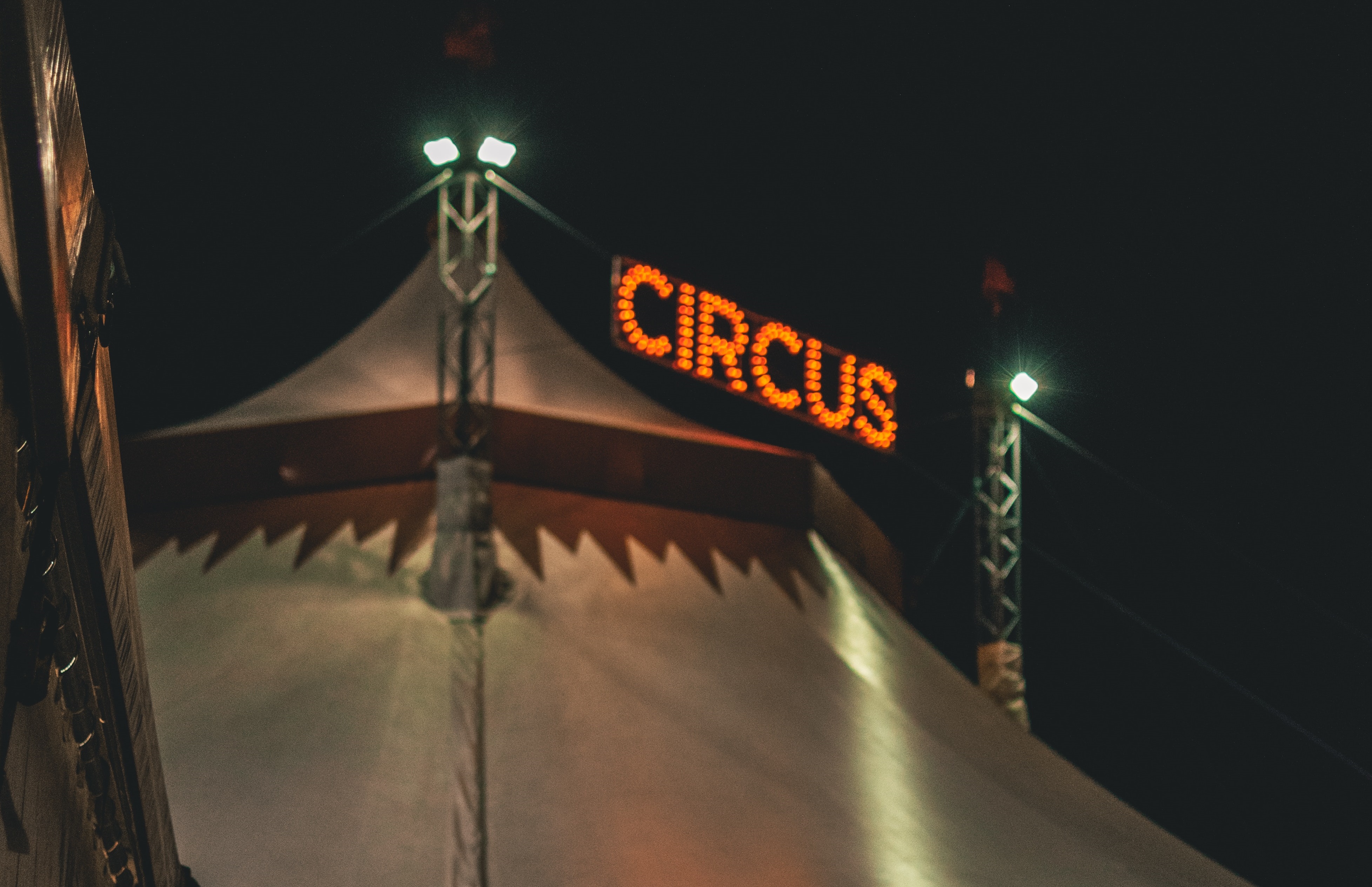 Цирк - || фото: Zachary DeBottis / Pexels