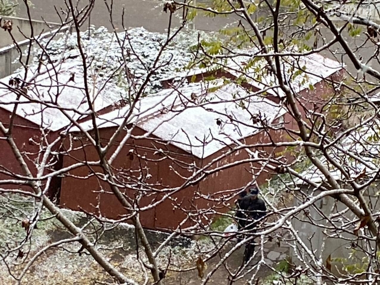 В Кривом Роге снегопад / фото: 0564