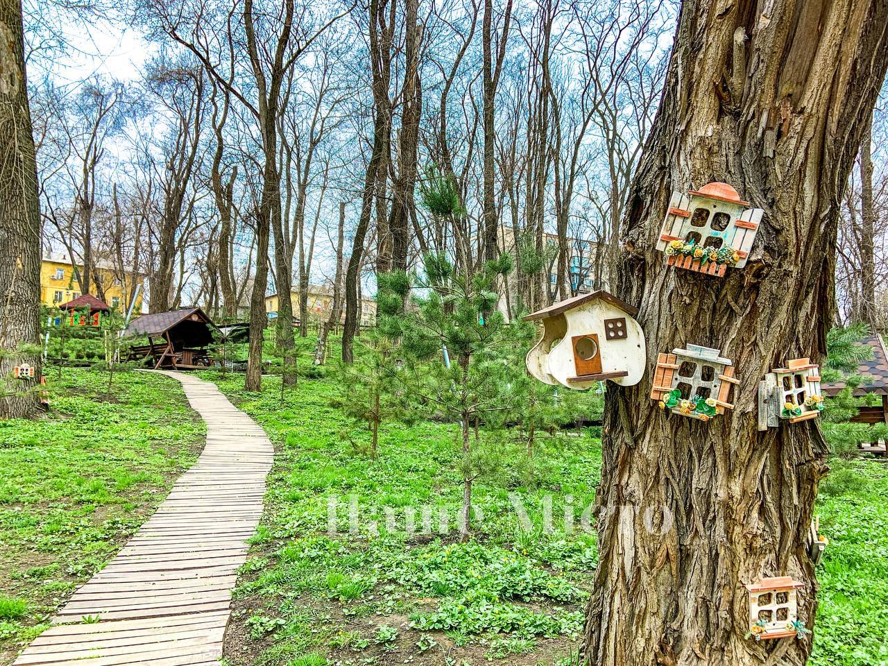 Территорию благоустроят - фото: nashemisto.dp.ua