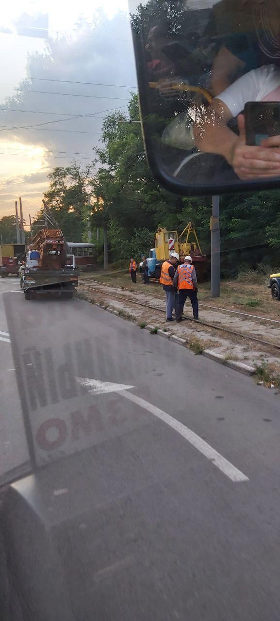 Движение трамваев было затруднено  / фото: Tamikami Takamiya