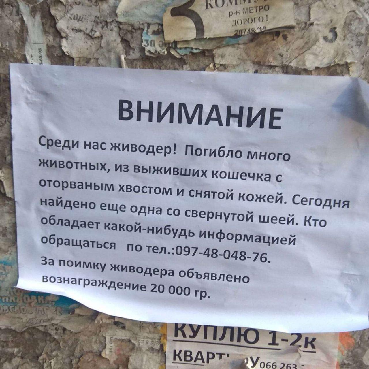 За поимку живодера обещают 20 тысяч гривен / фото: ХД