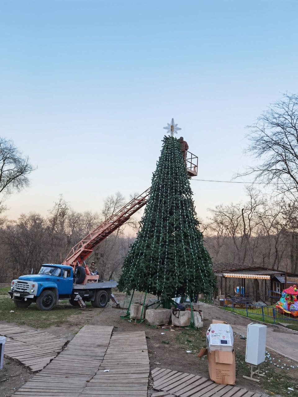 Елка в парке Зеленый Гай / фото: Светлана Юрченко