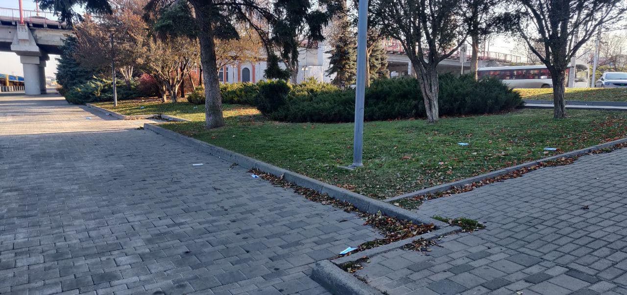 Разлетелись далеко / фото: ХД