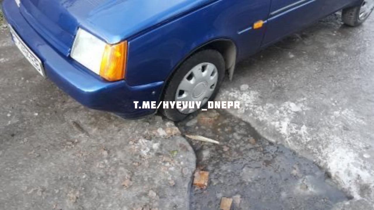 Самостоятельно выбраться из ловушки сложно  / фото: ХД