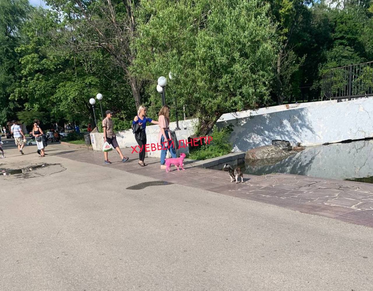 Розовый пес в парке Глобы - фото: tg ХД