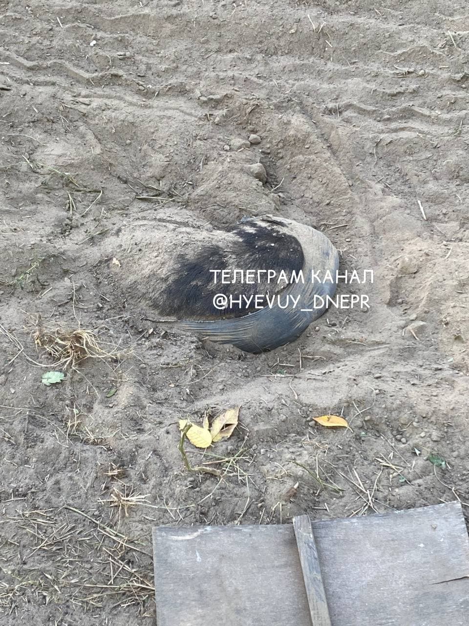 В Днепре снесли кладбище домашних животных - фото: tg ХД