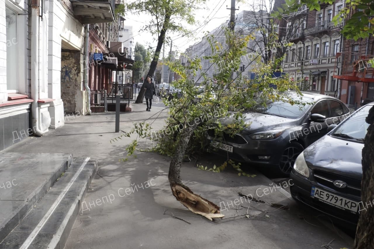 Ветка упала на машину - фото: tg Днепр Сейчас