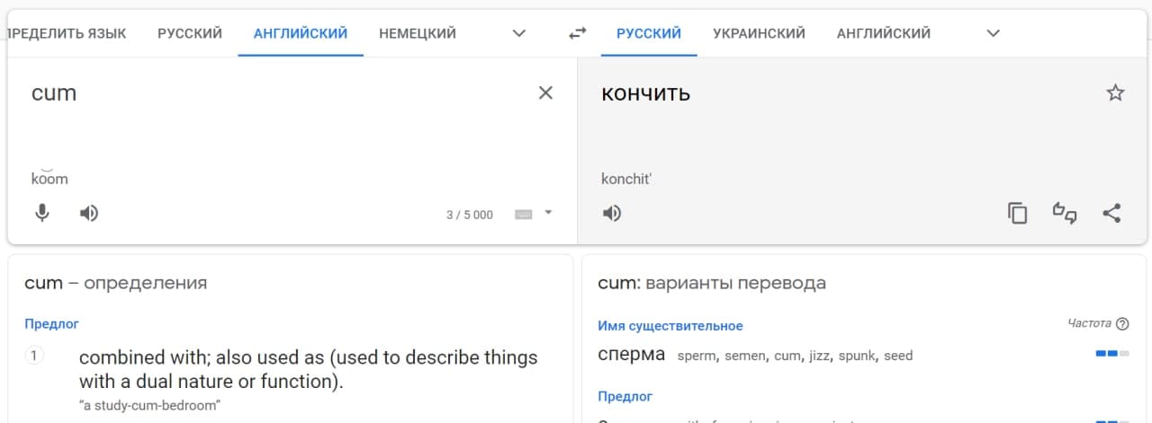 Перевод слова немного озадачивает - || фото: translate.google.com