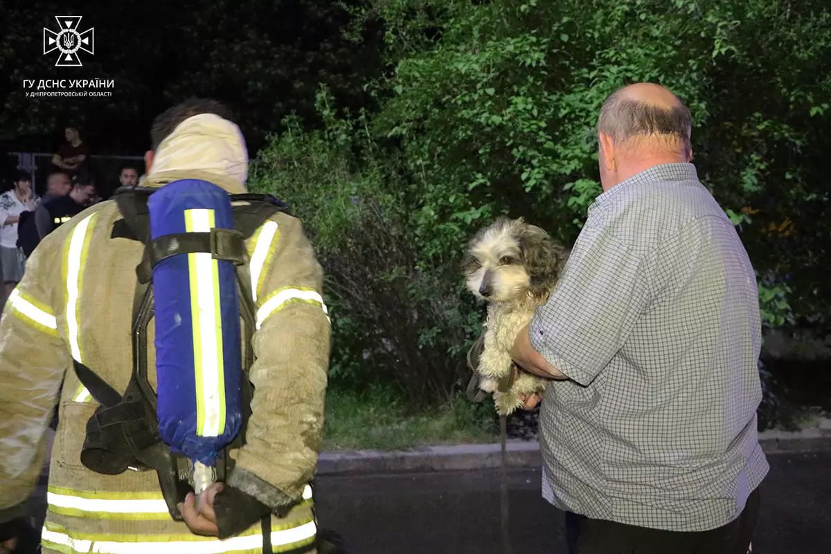 Люди рятували своїх тварин - || фото: dp.dsns.gov.ua