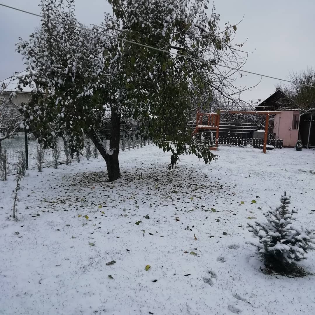 Снега выпало немало / фото: prostotitova_nadin