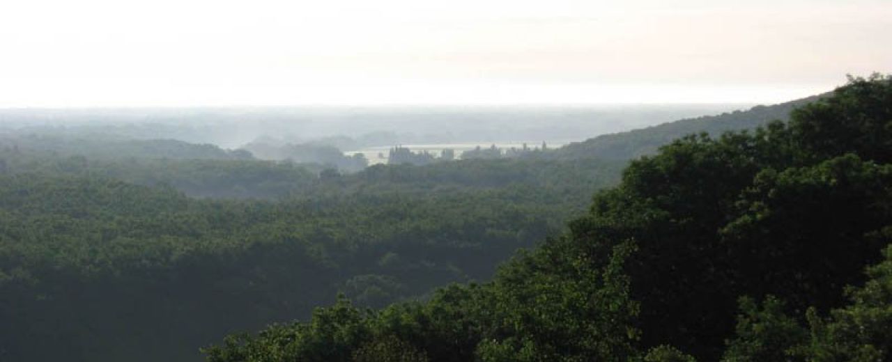Самарский лес - фото: funtime.kiev.ua