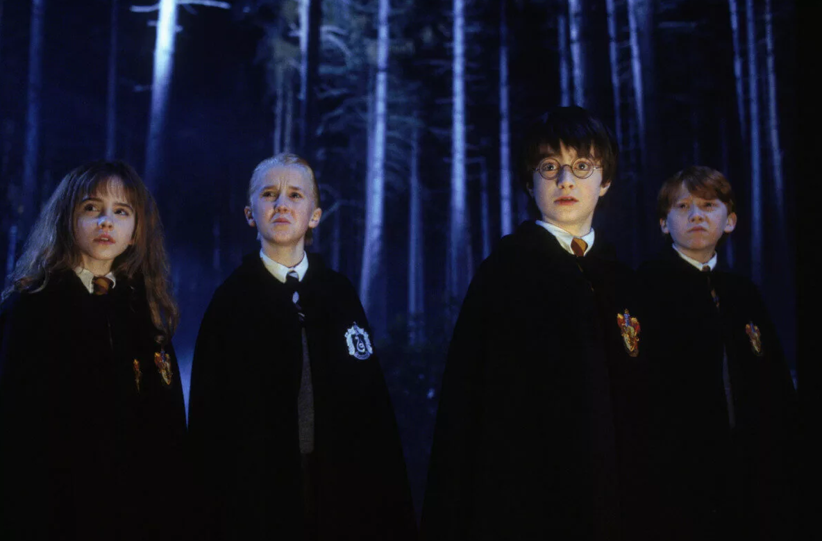 В Днепре состоится концерт для поклонников Гарри Поттера - фото: кадр из фильма "Гарри Поттер и Философский камень" (2001)