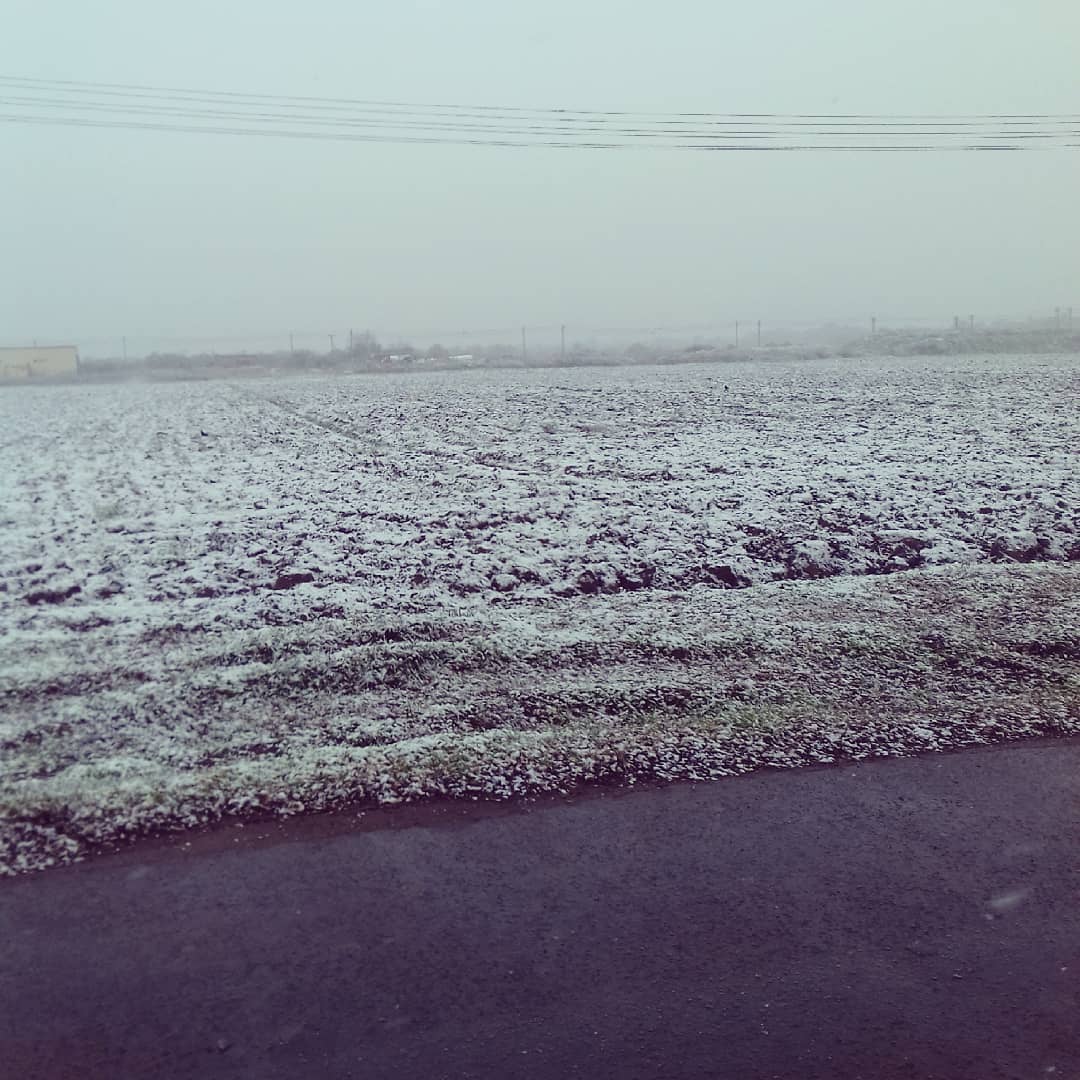 В Никополе тоже выпал снег / фото: sergii925