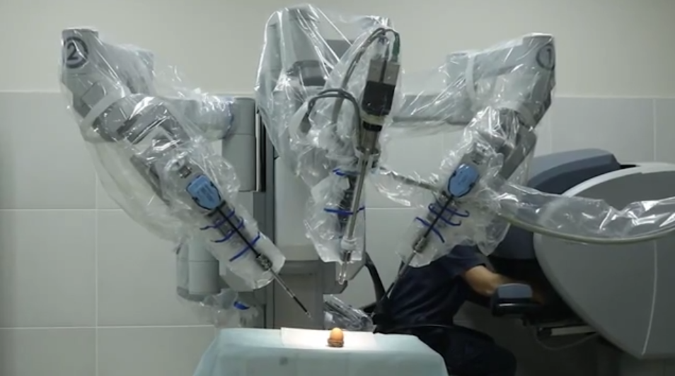 В Днепре с помощью робота-хирурга разрисовали яйца - фото: fb IRIMI Group & Medical Plaza