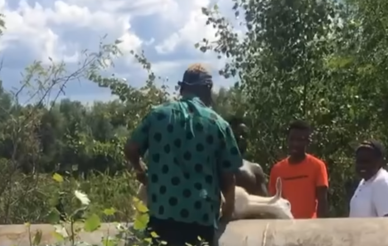 На пляже резали коз - фото: tsn.ua