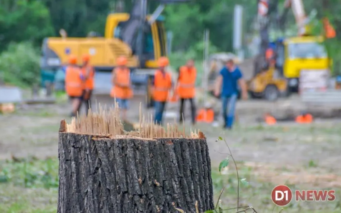 В Днепре на площади Успенской спилили деревья - фото: d1.ua