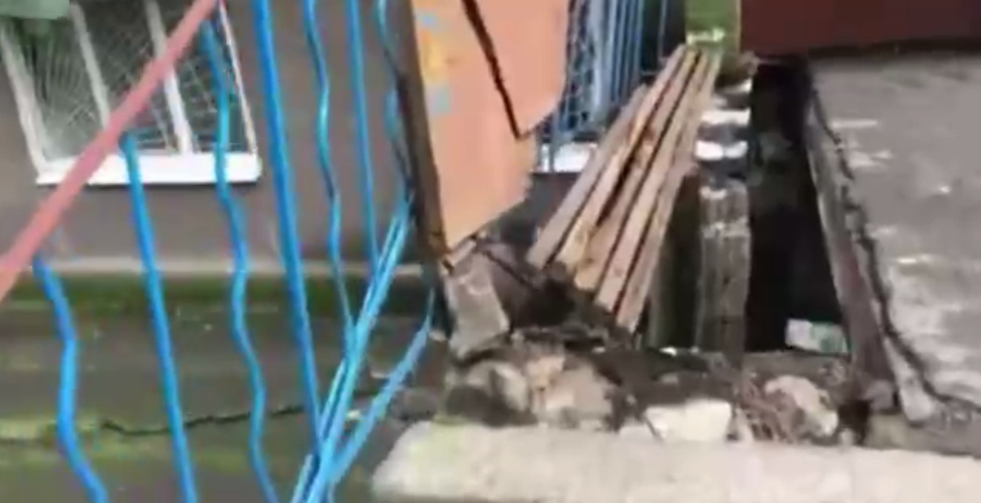 Пострадали пенсионеры - фото: tg ЕБДП