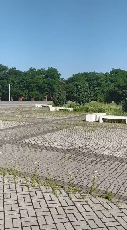 Площадь поросла травой - фото: fb Liliia Bohacheva