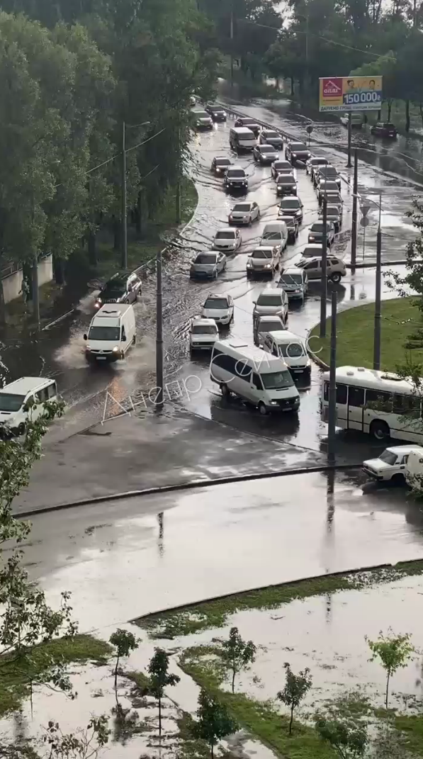 Солнечный - фото: tg Днепр Сейчас