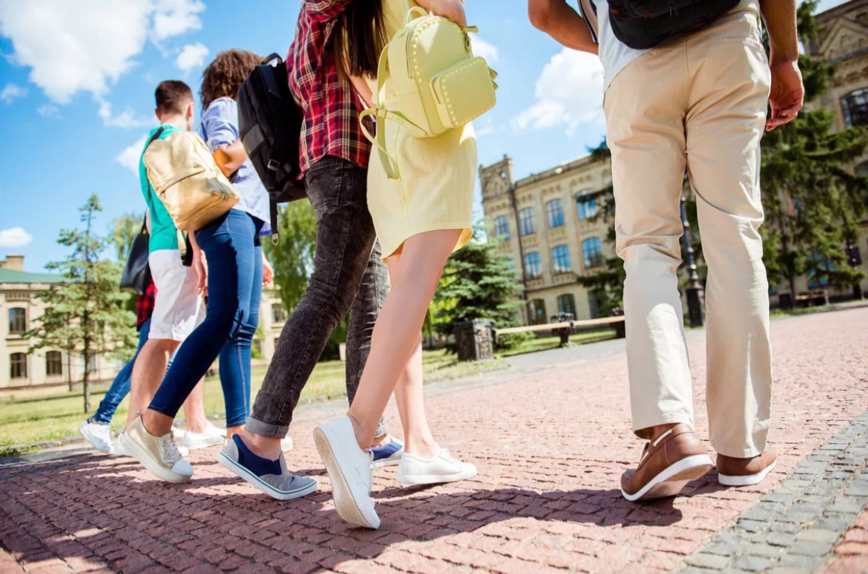 Экскурсия - фото: freepik.com