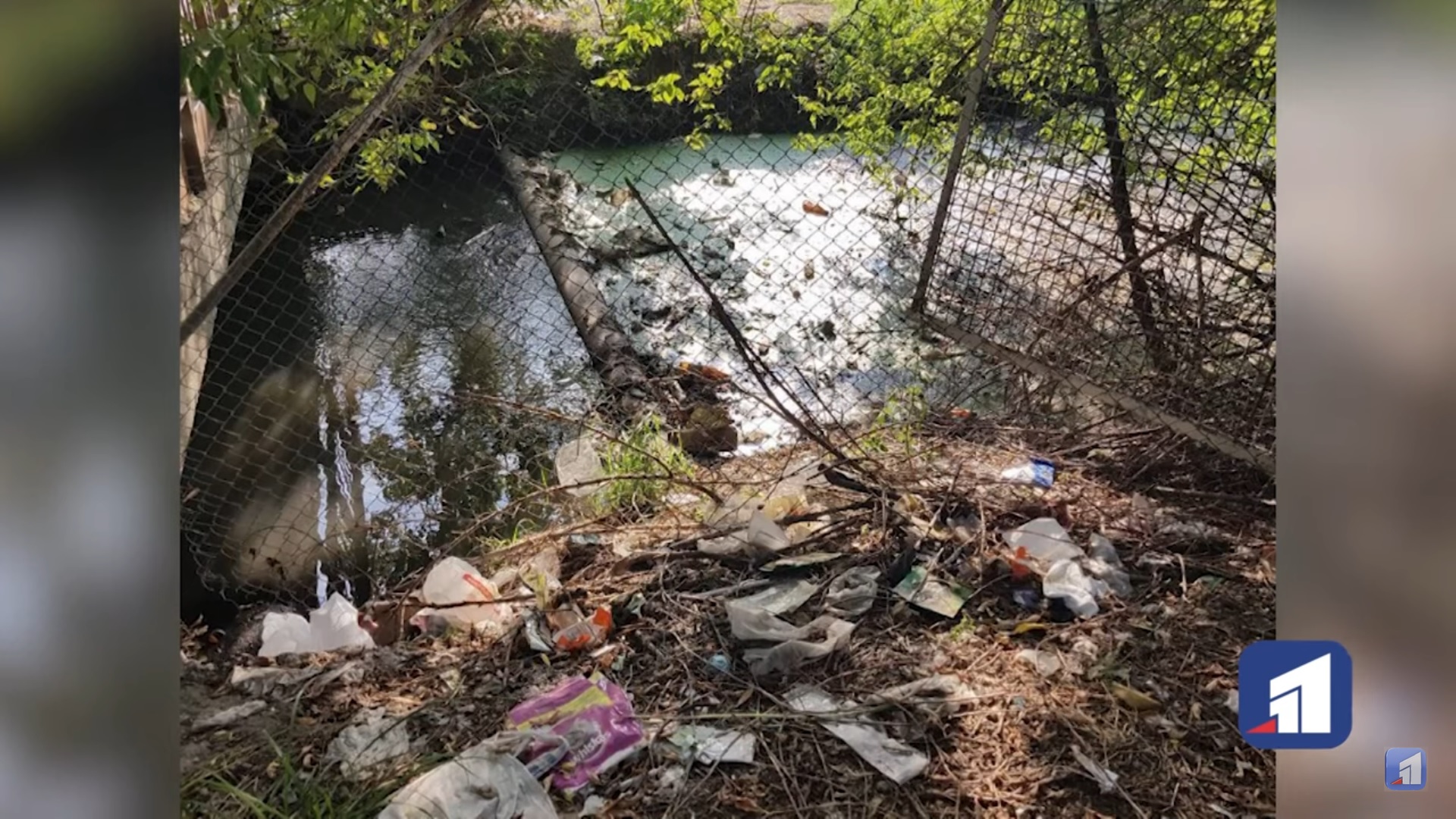 Река Гнилокиш завалена мусором - фото: 11tv.dp.ua