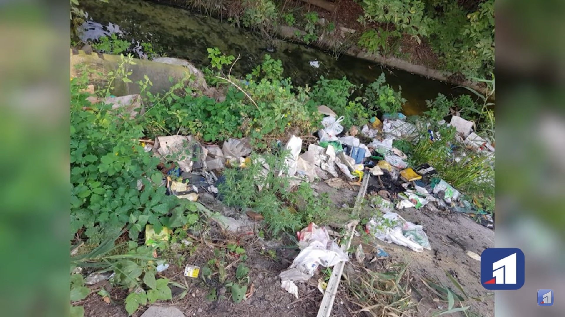 Реку обещают очистить - фото: 11tv.dp.ua