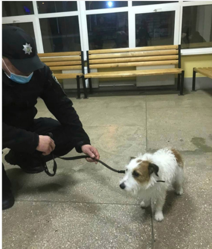 Мальчик спас свою собаку / фото: dli.donetsk.ua