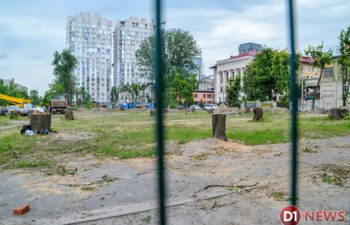 Вместо деревьев лишь пеньки - фото: d1.ua