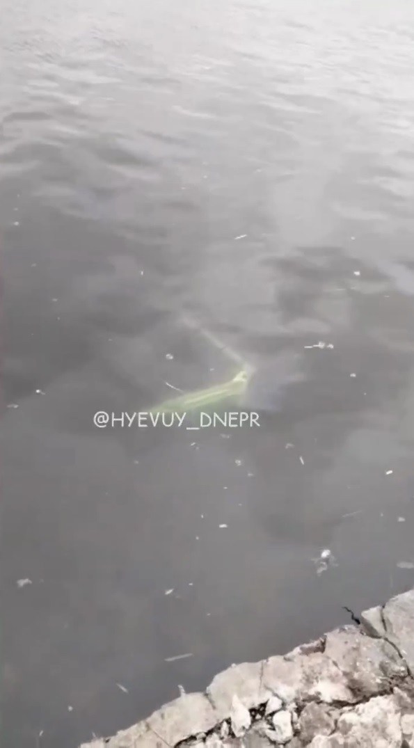 Самокат выбросили в воду - фото: tg ХД