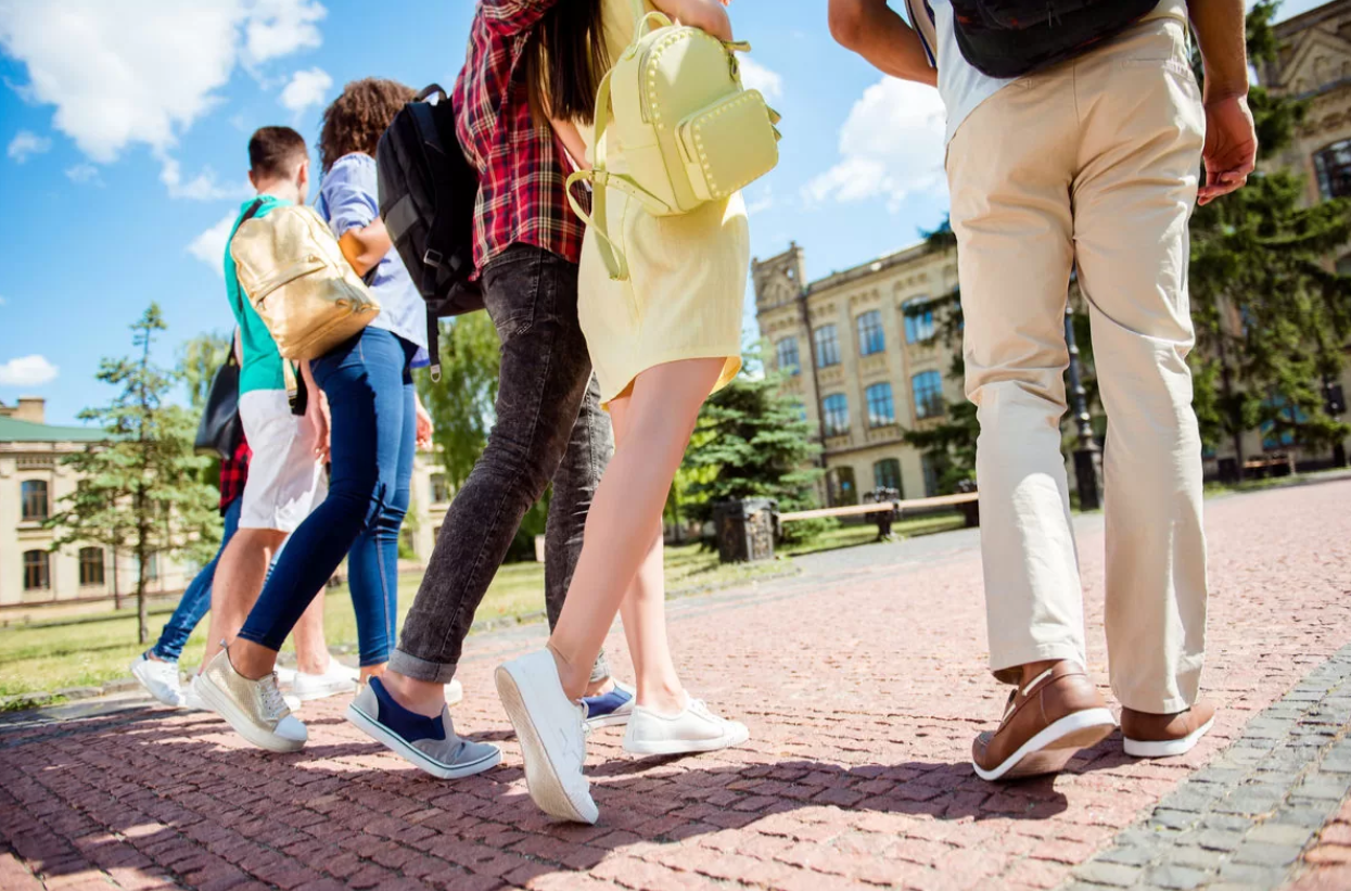 Экскурсия - фото: freepik.com