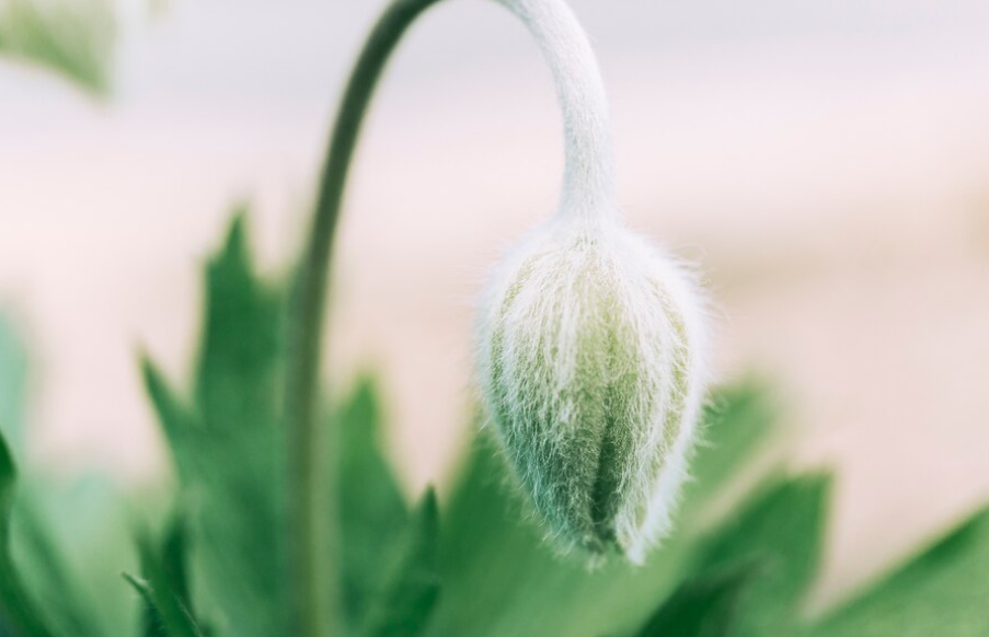 День весняного рівнодення 2023 року. Фото: freepik