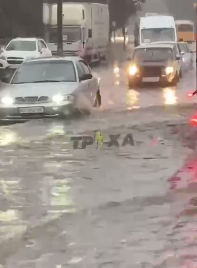 В Днепре из-за непогоды возле дома упало большое дерево - Днепр Vgorode.ua