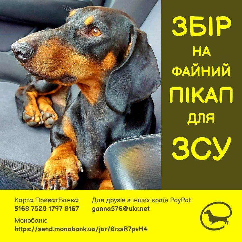 Собаки збирають кошти для покупки авто для ЗСУ