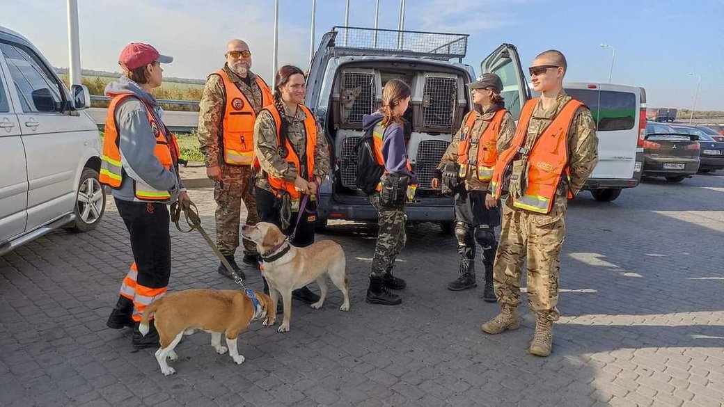 Собаки з підрозділу "Антарес" шукають людей