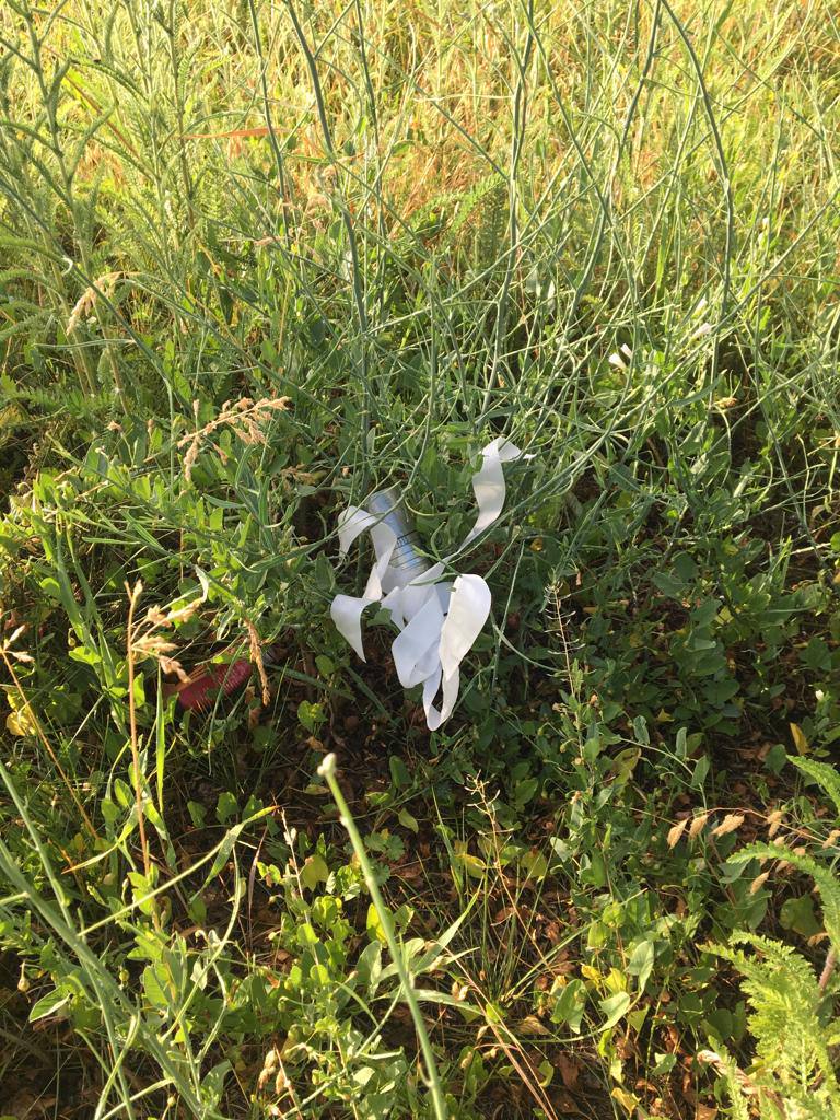 ДСНС заборонила жителям міста Апостолове виходити з будинків