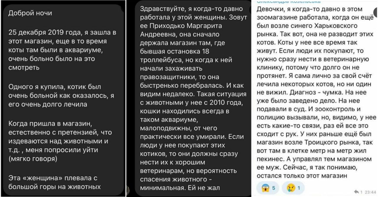 У Дніпрі в зоомагазині знущаються над тваринами