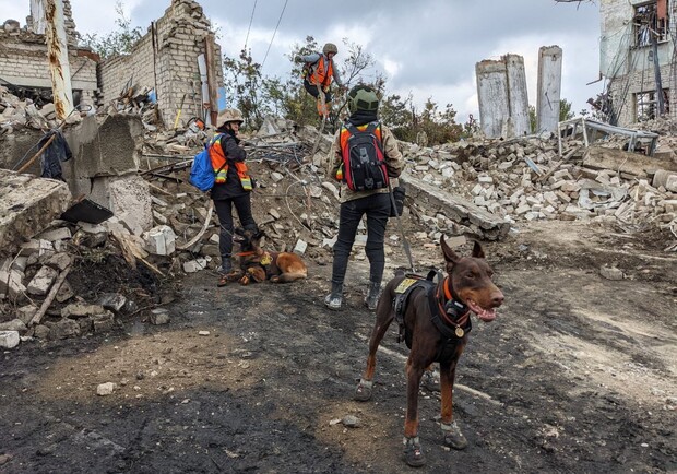 Собаки находят людей под завалами - фото: facebook.com/larisa.borysenko