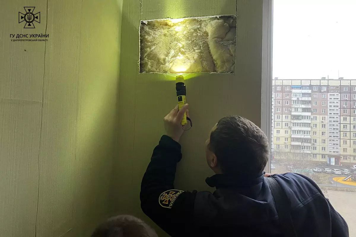 У квартирі на балконі жили кажани