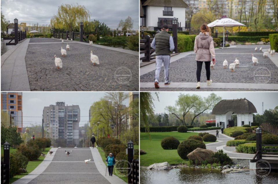 Вход в Яхт-клуб Сечь бесплатный