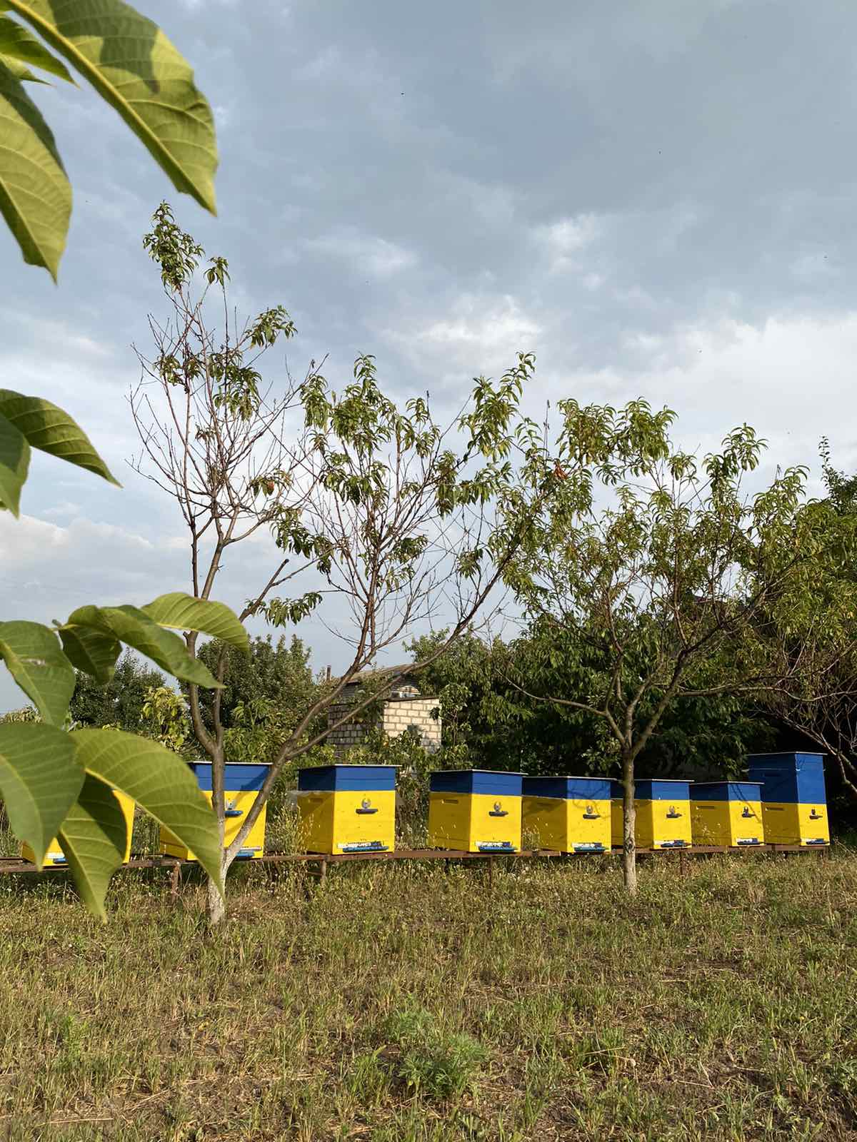 Розвиток бізнесу в Зеленодольській громаді