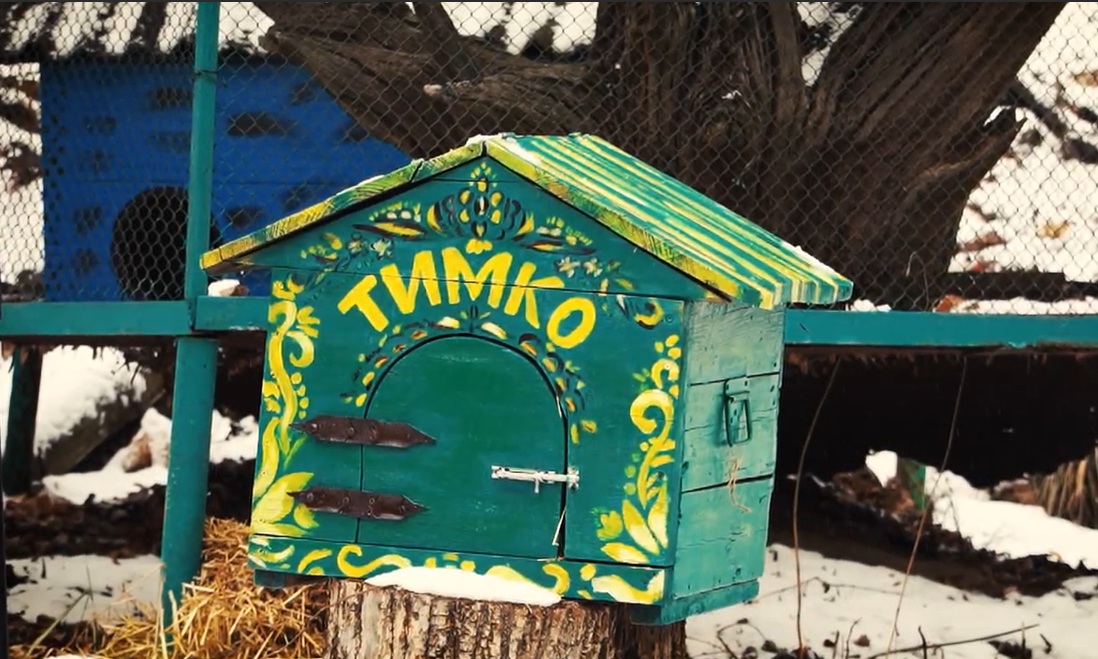 Когда наступит весна 2026: бабак Тимка сделал свой прогноз.